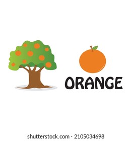 Ilustración de un árbol anaranjado aislado en diseño vectorial de fondo blanco