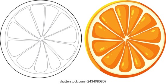 Ilustración de naranja en dos estilos diferentes.