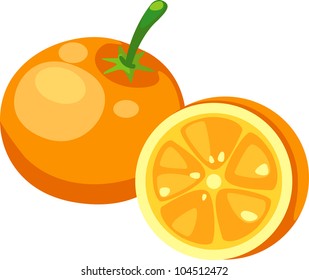 illustration Orange vector file on White background