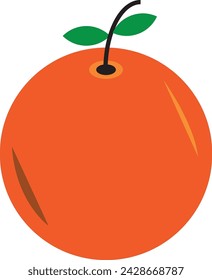 illustration of orange | orange vector | orange logo