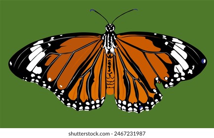 illustration of an orange-brown butterfly with a green background