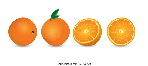 illustration of oranges