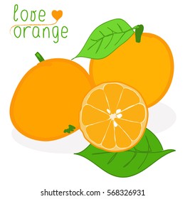 Illustration with oranges