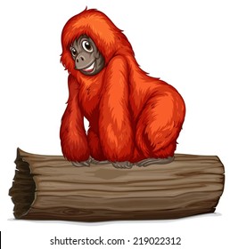 Illustration of an orangutan on a long