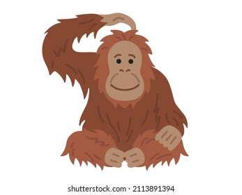 Illustration of an orangutan scratching his head.