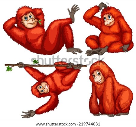 Similar – Image, Stock Photo orangutan Safari Animal