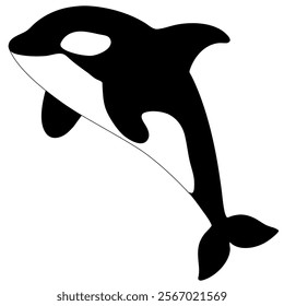 An illustration of an orca