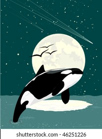 illustration of orca on a starry night background with moon