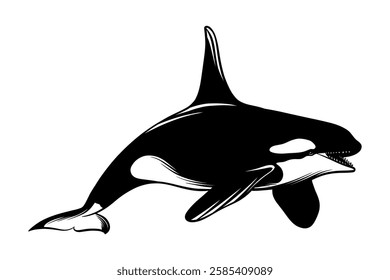 illustration of an orca whale in black and white