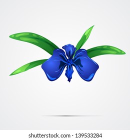 illustration Orchid