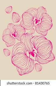 illustration of orchid