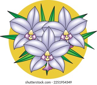 Illustration of orchid flower bouquet with leaves on yellow circle background.