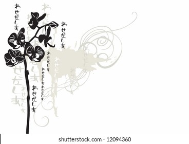 Illustration of orchids