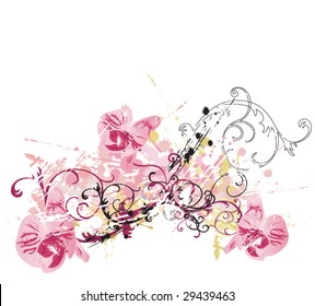Illustration of orchids