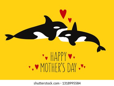 Illustration of the Orcinus orcas