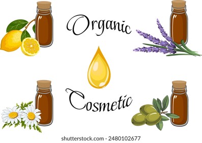 Illustration with organic cosmetics.Vector set of natural cosmetic oils on a transparent background with text.