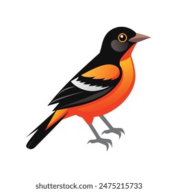 illustration of a oriole bird on white