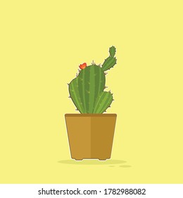 Illustration of ornamental cactus plant vector in a pot