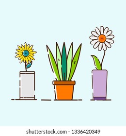 illustration of ornamental plants with flower pots