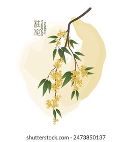 Illustration of an osmanthus flower, the Chinese text is Osmanthus fragrans