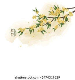 Ilustración de una flor de Osmanthus, el texto chino es Osmanthus fragrans