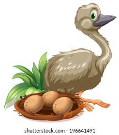 489 Ostrich egg cartoon Images, Stock Photos & Vectors | Shutterstock