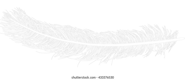 Illustration Ostrich Feather Silhouette Isolated On Stock Vector ...