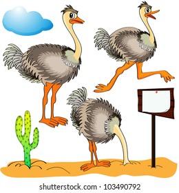Illustration ostrich runs, covers head sand and cost(stand)s on background cloud and cactus