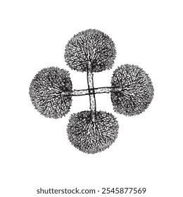 Illustration ot trees. Black and white  design element