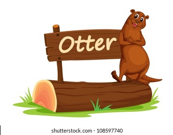 illustration of Ottur and name plate on a white