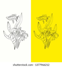 Illustration outline and draft bees collect honey and the first spring flowers in the forest