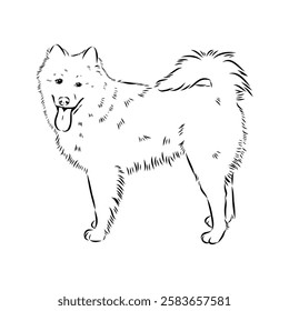 Illustration, outline. Thai bangkaew dog silhouette. sitting position from behind