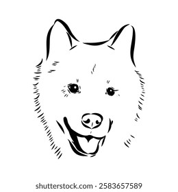 Illustration, outline. Thai bangkaew dog silhouette. sitting position from behind