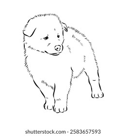 Illustration, outline. Thai bangkaew dog silhouette. sitting position from behind