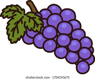 Illustration of outlined grapes with leaf