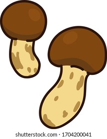 Illustration of outlined matsutake mushroom