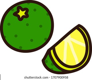 Illustration of outlined simple limes