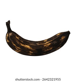 “Vector illustration of an overripe banana with black and bruised skin. Suitable for food waste campaigns, sustainability infographics, compost education, and grocery management visuals.”