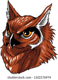 Illustration of an owl. 