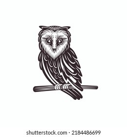 illustration of owl, nocturnal bird, vector art.