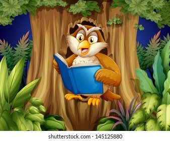 Illustration of an owl reading a book at the tree