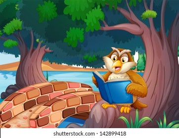 Illustration of an owl reading a book under the tree near the bridge