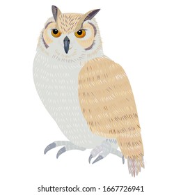 Illustration of owl.  A symbol of knowledge.