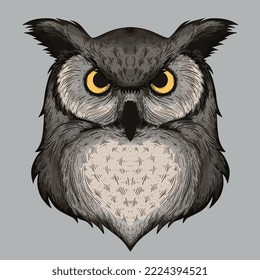 Illustration of an owl vector