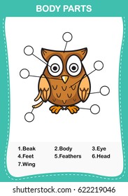 Illustration of owl vocabulary part of body,Write the correct numbers of body parts.vector