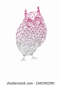 Illustration owl white pink vector