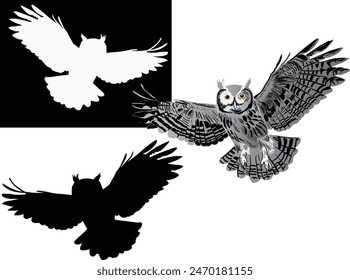 illustration with owls isolated on white and black background