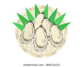 Illustration of oysters on a colander.