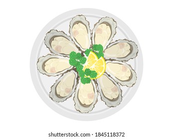 Illustration of oysters on a plate.