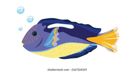 Illustration of pacific royal blue tang fish on white background. Beautiful blue dory fish with bubbles isolated. Print. Vector illustration